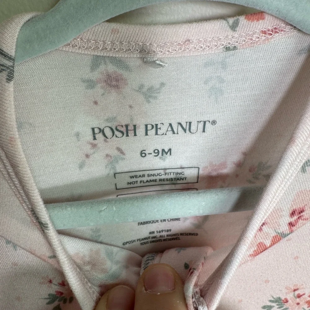 Posh Peanut great light